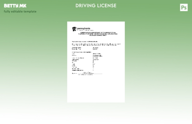 Модерен стил, шаблон за привремена возачка дозвола од Министерството за трансп 1